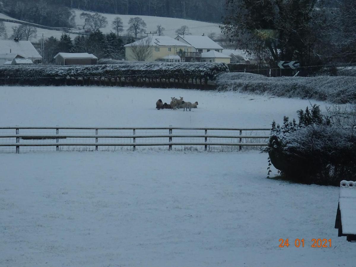 Red Kite Barn Vila Ammanford Exterior foto