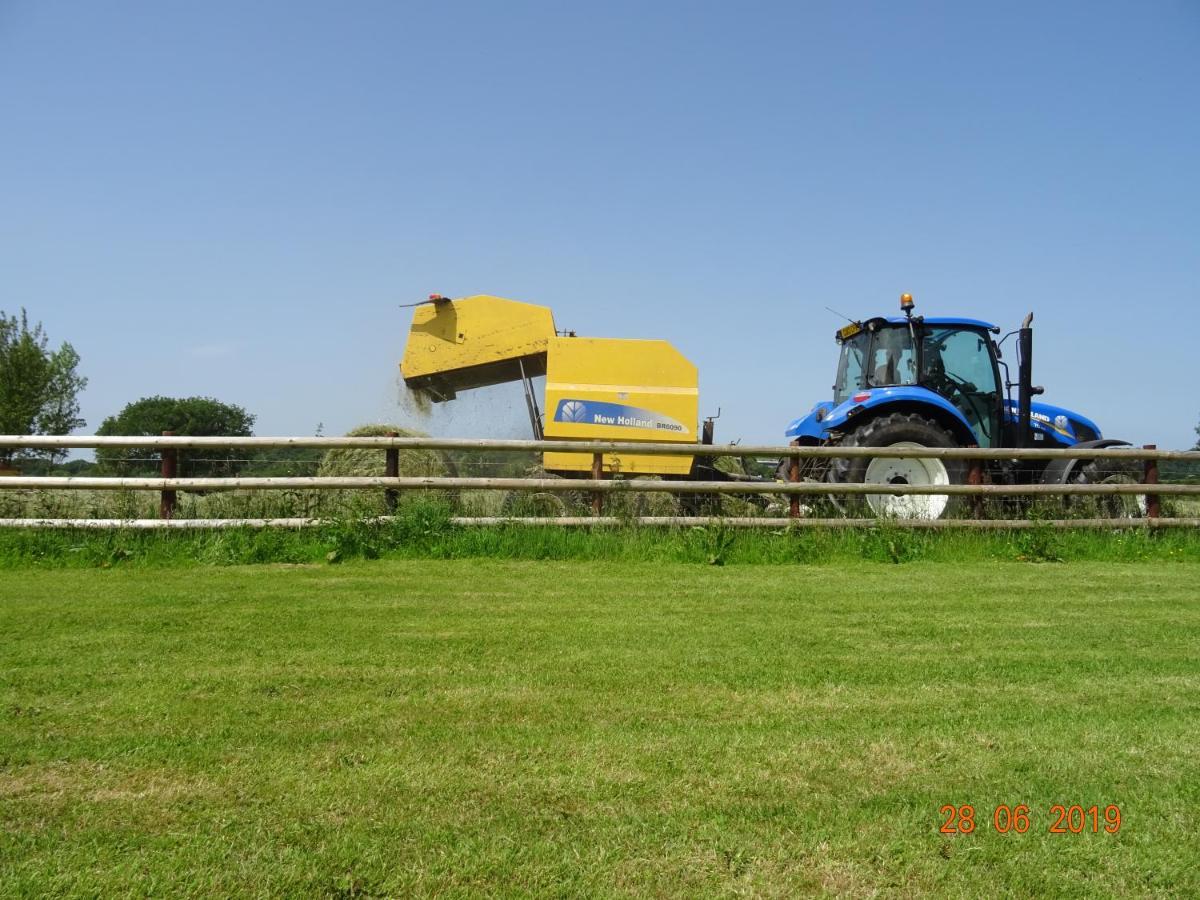 Red Kite Barn Vila Ammanford Exterior foto