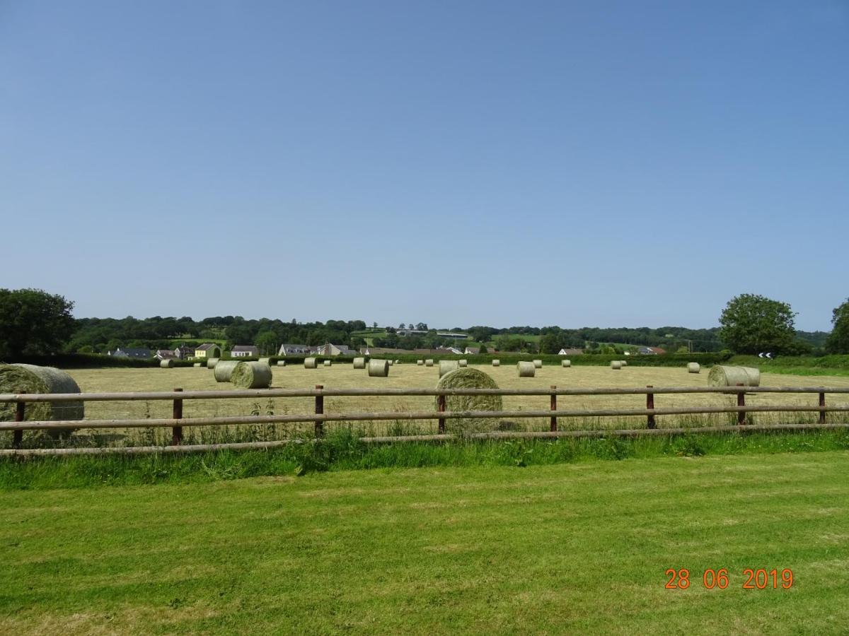 Red Kite Barn Vila Ammanford Exterior foto